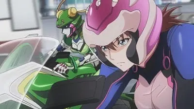 Боевой мастер