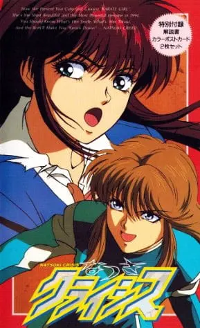 Боевой мастер