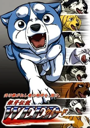 Боевой мастер