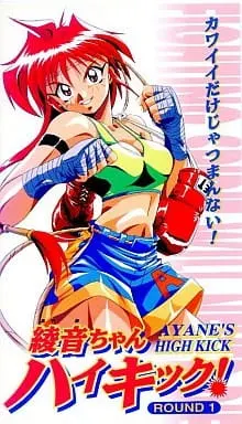 Боевой мастер